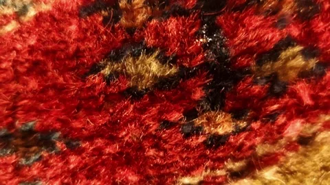 Macro camera tilt descending over a soft, high-pile plush carpet with vibrant Vídeos de archivo 334108334