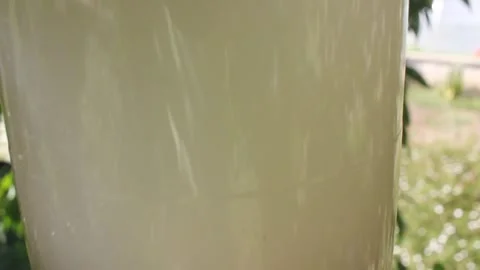 Macro Camera Tilt Up Showing Trapped Asian Hornets inside Homemade Bottle Tr 動画素材 344608626