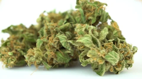 Macro of Cannabis, Marijuana Rotating Stock Footage 93835150
