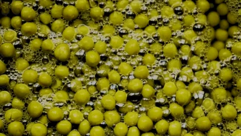Macro canned green peas texture focus reveal with bubbles Видео 336414426