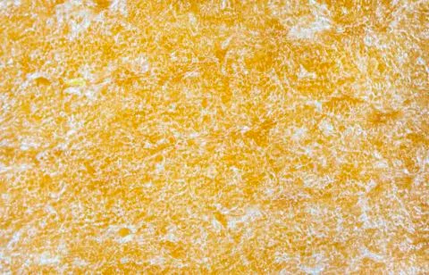 Macro carrot surface texture Stock Photos