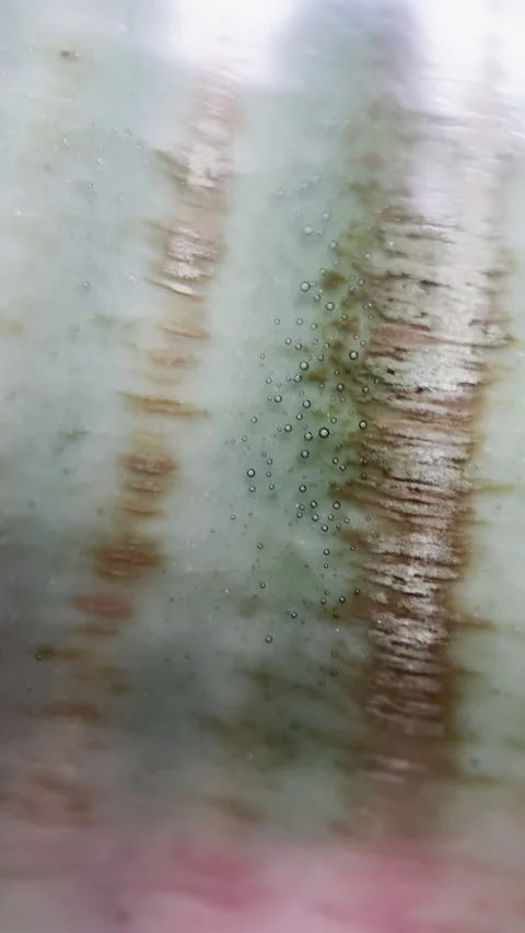 Macro Celadon Ceramic Texture Rotating Abstract Glaze Background Video stock 333083334