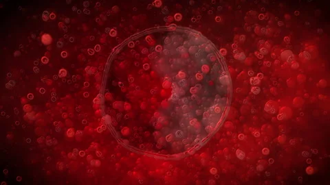 Macro Cells Of Body Stock Footage 286084741