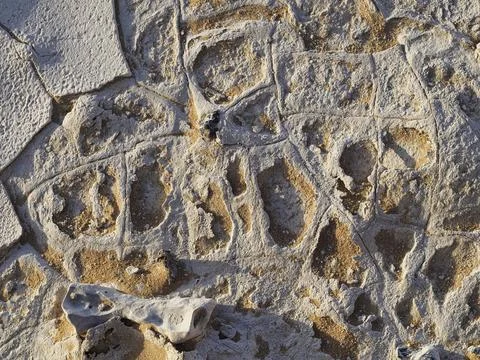 Macro chalk and sand pattern White Desert near Bahariya Oasis Egypt Africa 写真素材