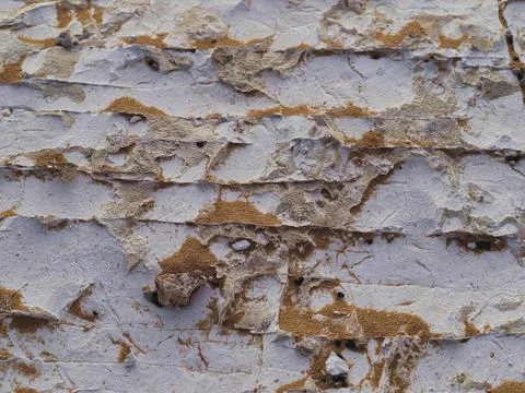 Macro chalk and sand pattern White Desert near Bahariya Oasis Egypt Africa 写真素材
