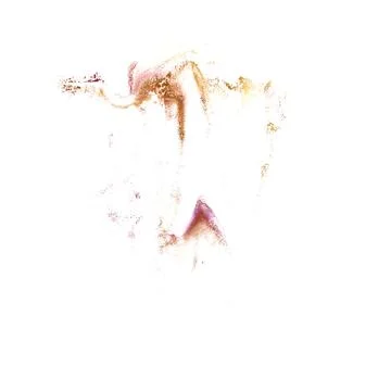 Macro Cherry, brown spot blotch texture isolated on a white back Illustrazione stock