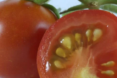 Macro cherry tomato slice and seeds Stock Photos