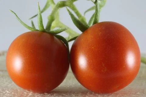 Macro cherry tomatoes Stock Photos