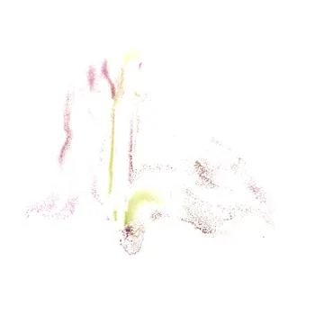 Macro Cherry, yellow spot blotch texture isolated on a white bac Illustrazione stock