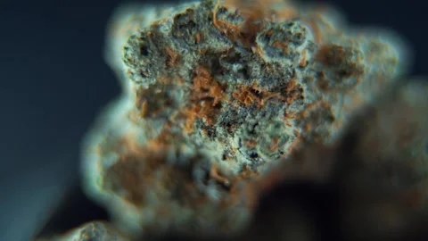 A macro cinematic microscope shot of a cannabis plant, hybrid orange Stock Footage 273512057