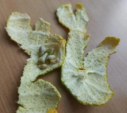 Macro citrus rind texture with pith for packaging design Stock Photos