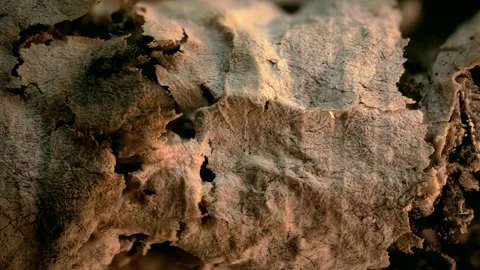 A macro close-up 4K video of a burnt cigarette. Stock Footage 341144927