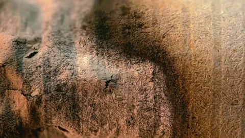 A macro close-up 4K video of a burnt cigarette. Stock Footage 341145343