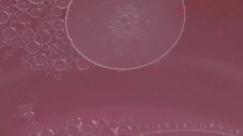 Macro close up of acrylic paint and oil creating abstract bubbles and fluid Stock Footage 340810826