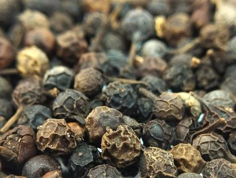 Macro Close-Up of Aromatic Cubeb Pepper (Tailed Pepper) Stock Photos