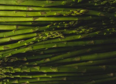 Macro close up of asparagus Stock Photos