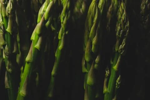 Macro close up of asparagus Stock Photos