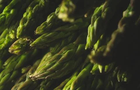 Macro close up of asparagus Stock Photos