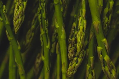 Macro close up of asparagus Stock Photos