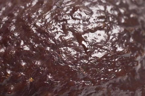 Macro close-up of avocado skin Stock Photos