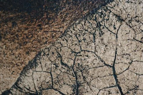 Macro close-up background texture of dry leaf skeleton with cracked ceramic.. Stock Photos