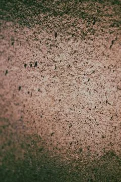 Macro close-up background texture of weathered stone wall with dark specks .. Stock Photos
