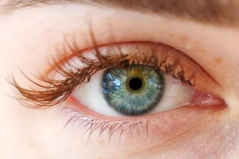 Macro close-up of a beautiful human eye with green-blue iris, detailed view Stock Photos