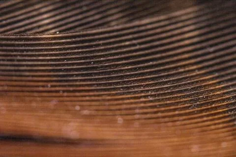 Macro Close Up of a Bird Feather Wing Stock Photos