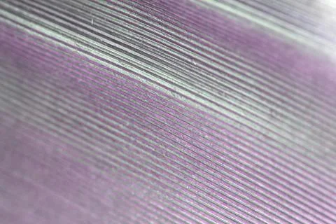 Macro Close Up of a Bird Feather Wing Stock Photos