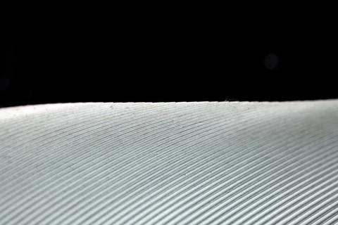 Macro Close Up of a Bird Feather Wing Stock Photos