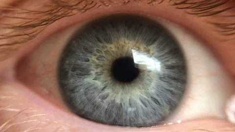 Macro close up of blinking grey male human eye retina. Stock Footage 129418129