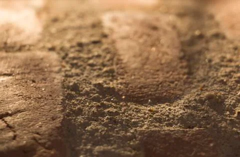 Macro Close up of a brick wall with soft sunlight from above and shallow depth Stock Photos