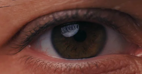 Macro close-up on brown beer large male eye opening, blinking eyelid Stock Footage 229267281