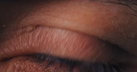 Macro close-up on brown beer large male eye opening Stock-Footage 229267923