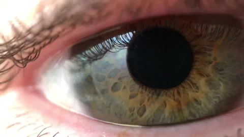 Macro Close Up Of Brown Eye Iris 4k 60fps Stock Footage 143001856