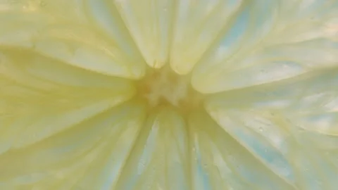 Macro close up of a centre of a lemon slice. Abstract fruit background Stock Footage 293626856