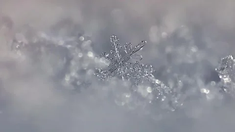 Macro Close-Up of Christmas Snowflake, Ice Crystal Structure in Winter Cold Stock-Footage 314503216