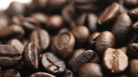 Macro close-up of a coffee bean taken by Donly on a white background. Stock Footage 221786115