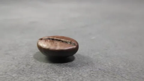 Macro Close-Up of Coffee Beans Rolling in Slow Motion Stock Footage 255328172