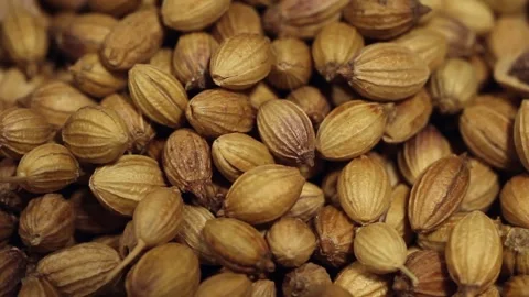 Macro close up of coriander seeds falling into a white bowl Stock Footage 156455252