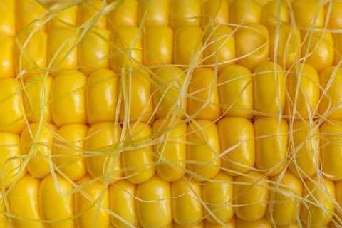 Macro close up corn seeds view texture of yellow color, agricultures Stock Photos