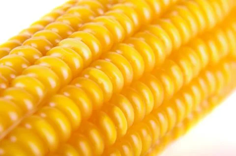 Macro close up of corn texture Stock Photos