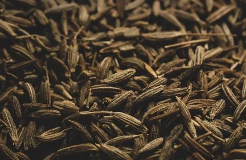 Macro close up of cumin seeds, selective focus Stock Photos