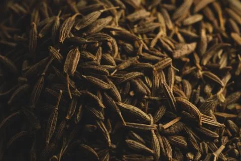 Macro close up of cumin seeds, selective focus Stock Photos