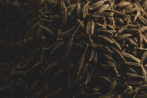 Macro close up of cumin seeds, selective focus Stock Photos