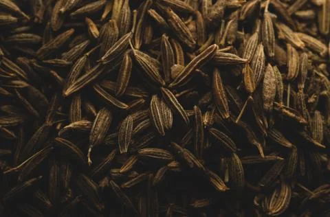Macro close up of cumin seeds, selective focus Stock Photos