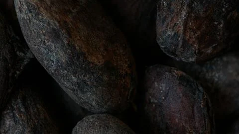 Macro Close-up of Dark Roasted Cocoa Beans Stock-Fotos