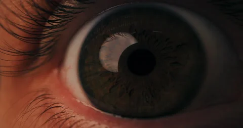 Macro close-up on the details of the human eye. Brown iris undilated pupils long 库存影片 229248691