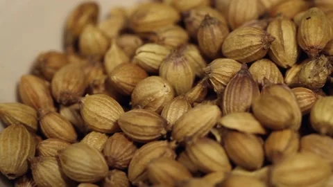 Macro close up dolly past white bowl of coriander seeds Stock Footage 156455394