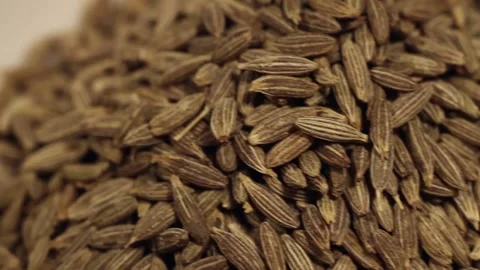Macro close up dolly past white bowl of cumin seeds Stock Footage 156455721